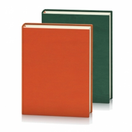 Agenda 2012 EGO OFFICE - 50 bucati